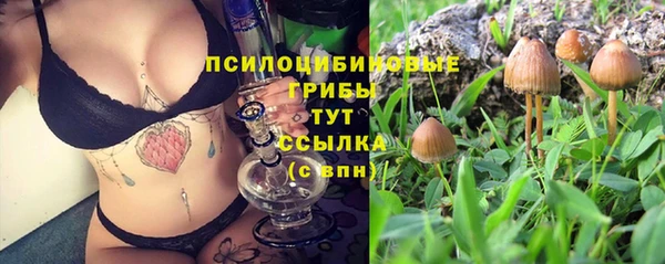 кокаин перу Абаза