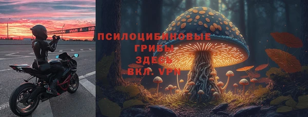 a pvp Алексеевка