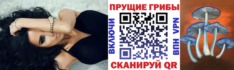 Галлюциногенные грибы прущие грибы  это наркотические препараты  Полтавская 